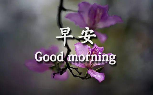 abd095facb3e42489d7bbecf8ff872d0.jpeg