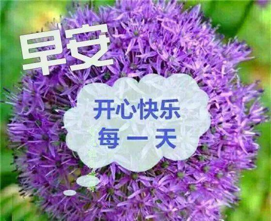 正月十一早上好句子表情圖片帶字,2021早晨好問候祝福語_好運