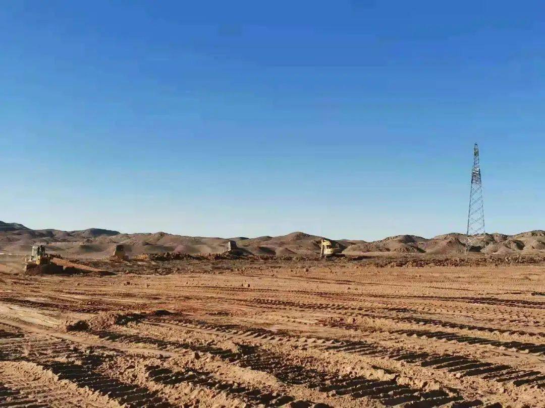 青铜峡市将建成2万亩标准化葡萄种植基地