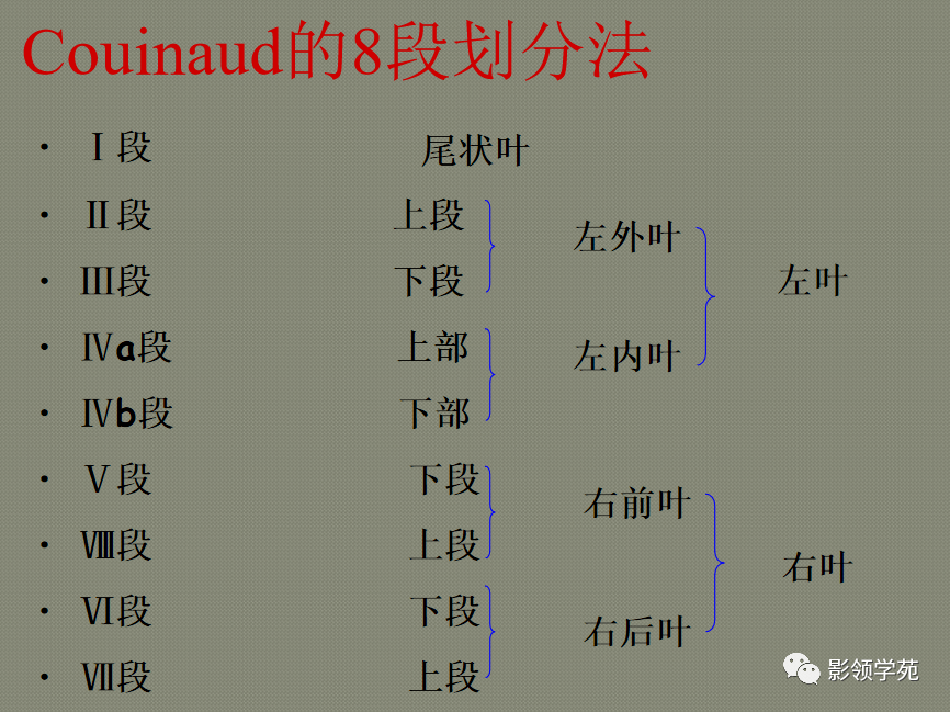 glisson系统即肝门静脉,肝动脉,胆管在肝内的分,属支被结缔组织纤维鞘