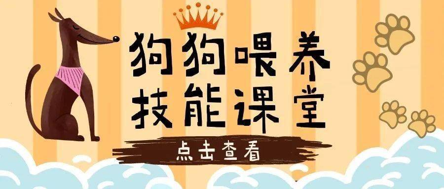 無論是幼犬還是成犬不要過量,少吃多餐各時期狗狗餵食建議1-3月幼犬