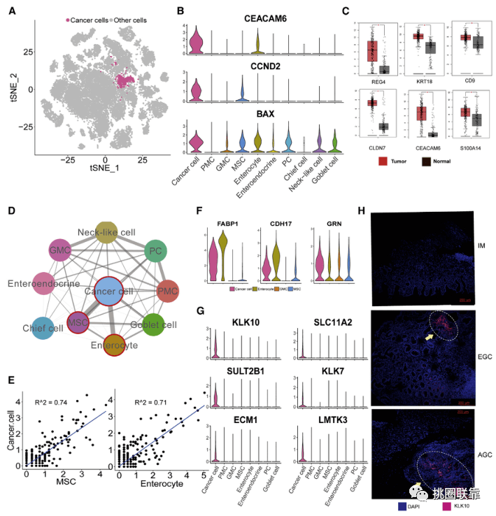 拍图识别简谱_儿歌简谱(2)