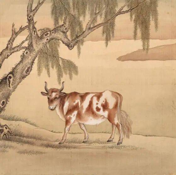 兽谱图册之旄牛页旄牛,即是牦牛,《兽谱图》记其特点:"体长多力,能