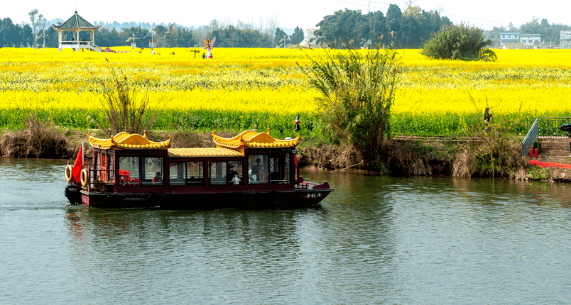 建议收藏,崇龛花海最强观赏指南出炉~还有直播福利等你领取!_潼南