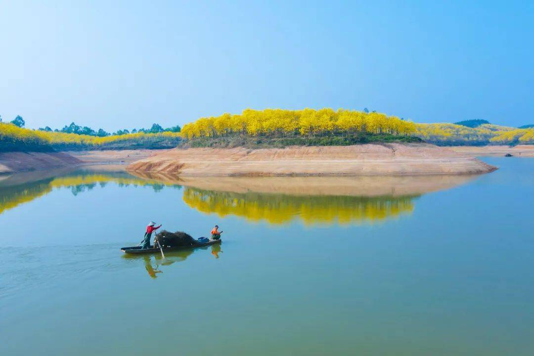 高要区白土镇人口普查_高要区第一小学(3)