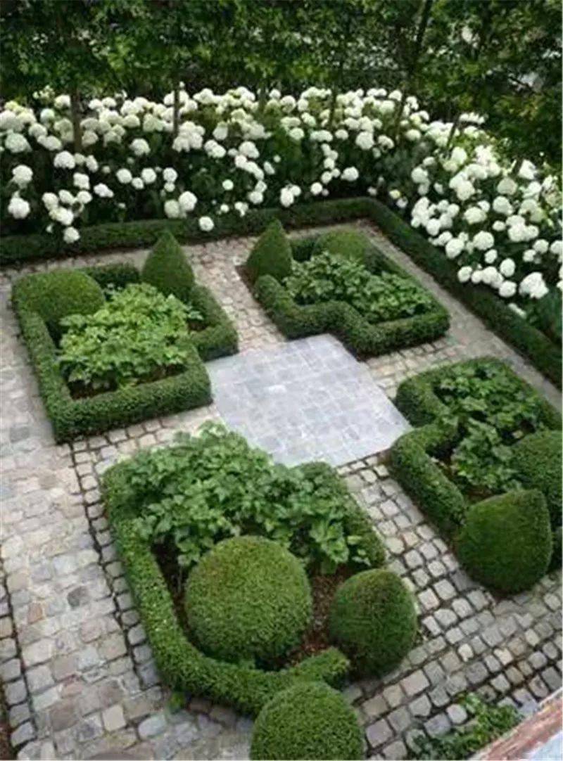 修剪整齐的灌木和模纹花坛,体现人工美;1