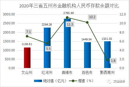 2020年文山市经济总量_文山市图片