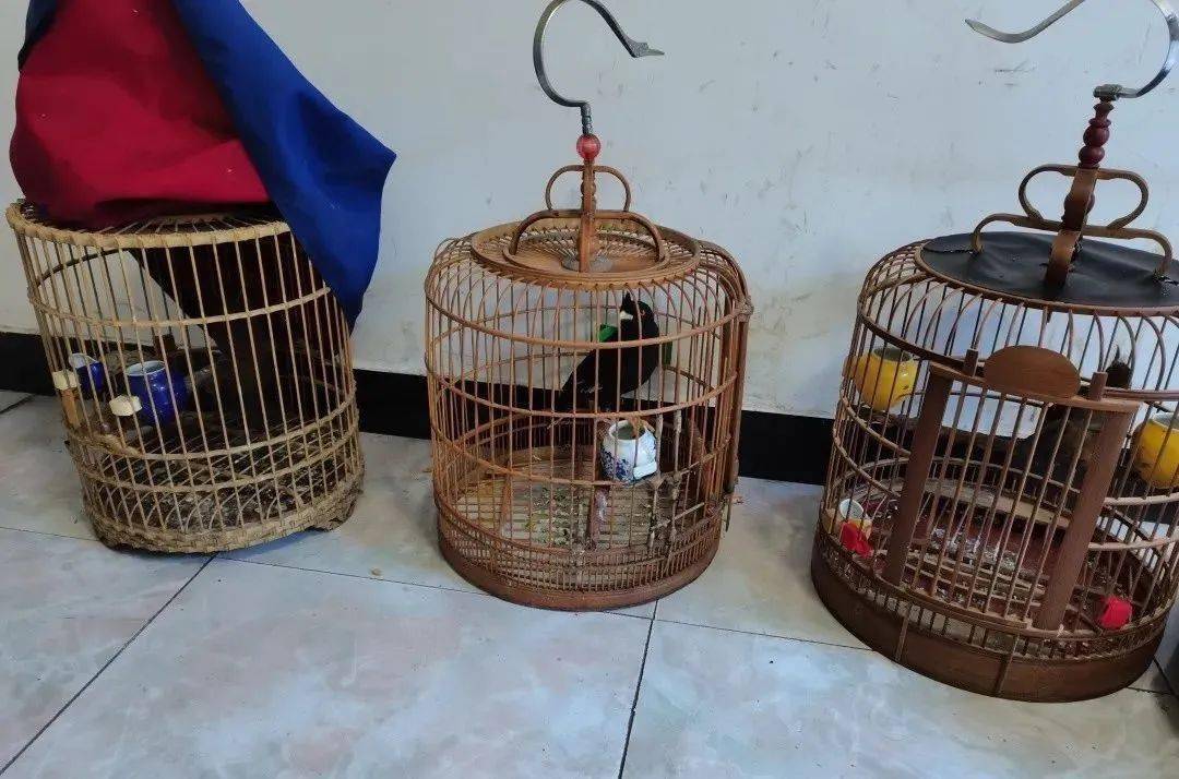 两个山中间有个杯子猜成语_两个杯子图片(2)