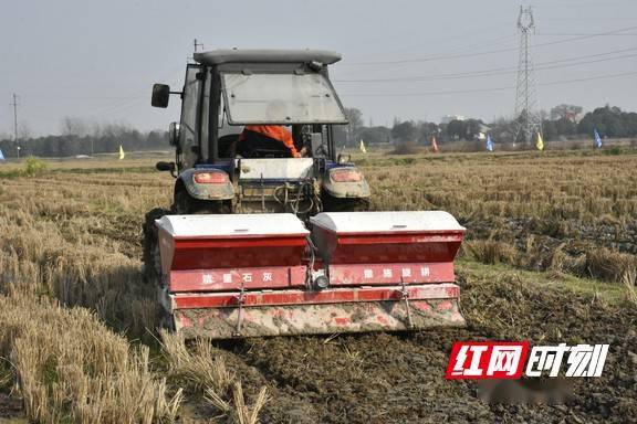 投入使用|视频｜一种新型农机在湖南益阳投入使用
