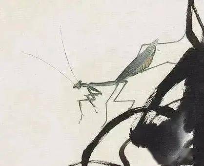 齐白石画螳螂斗趣