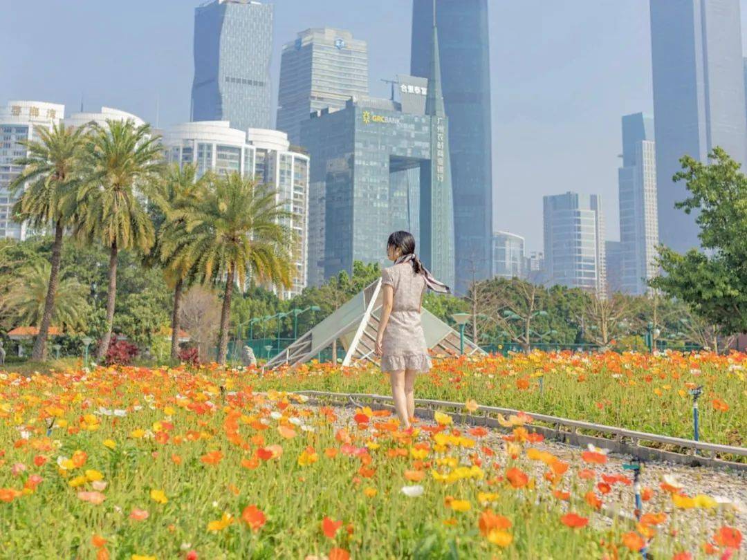 宏城公園的連片美景,吸引了一大波的觀賞者!很多街坊帶上親朋好友