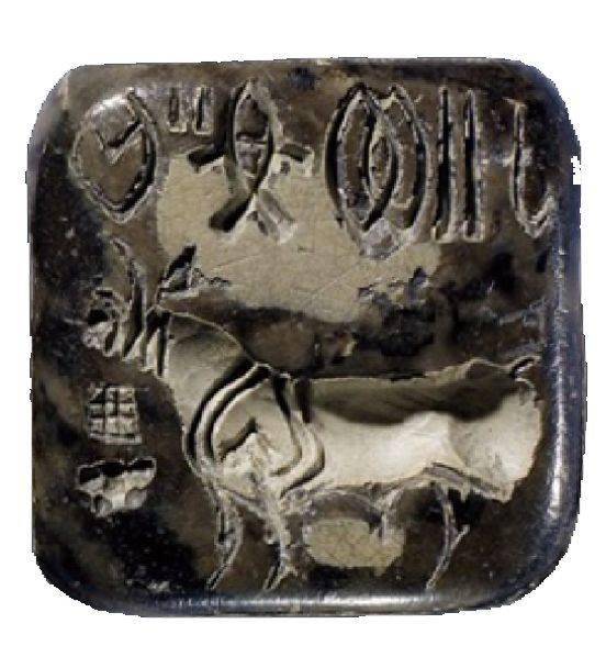 位于西班牙北部阿尔塔米拉洞窟,距今至少12000年以前旧石器时代晚期的