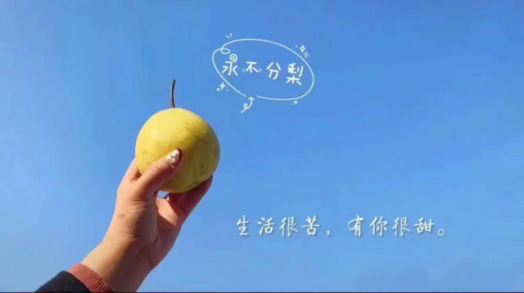 安林之声丨心之所向终之所归