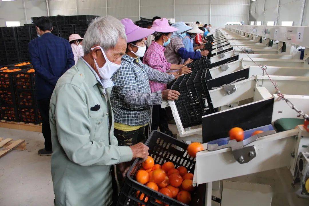 隆阳2020年gdp_2020-2021跨年图片(2)