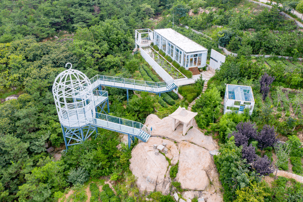 花开的地方等你67丨开年最值得打卡的民宿不负云顶茶园野奢美宿三