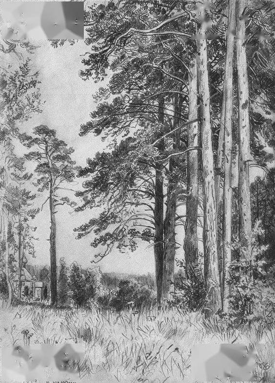 细致的明暗变化就能够了出特别令人安心的风景仅仅是简单的黑白素描