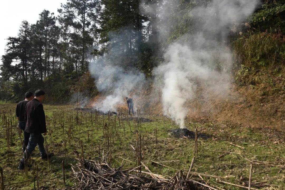 古蔺县将持续深入开展打击野外违规用火行为,从源头防范森林火灾.