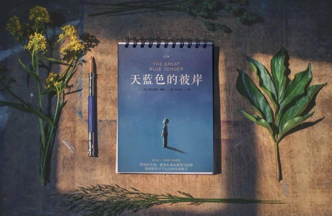 治愈《天蓝色的彼岸》书中写道,死亡的人们会到另一个世界,排队去一个