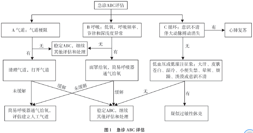 《疫苗接种不良事件紧急处理中国急诊专家共识》发布