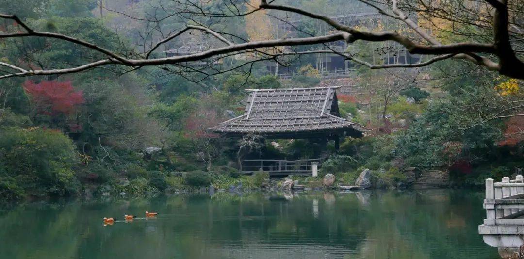 湖南祗园位于湖南省长沙市岳麓区岳麓街道桃花岭村,占地面积72.