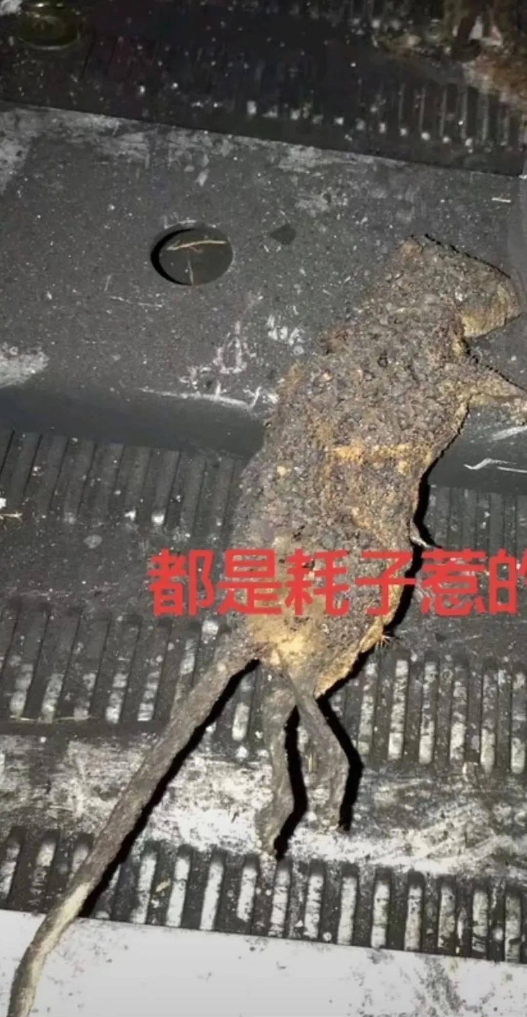 案例一2004年11月10日,某110kv变电站因10kv开关短路引发10kv母线故障