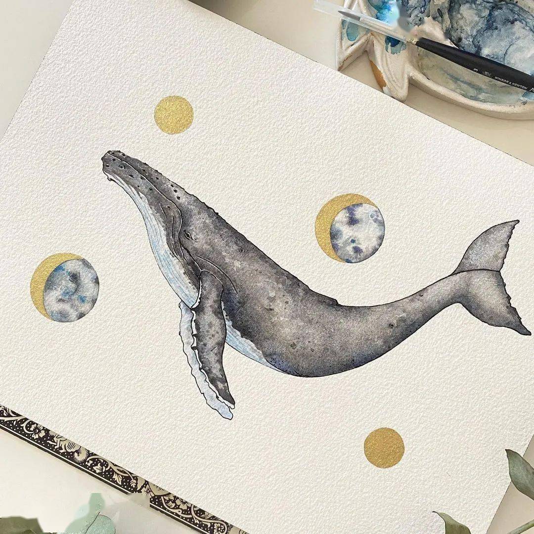 森系文艺手绘插画鲸鱼图片