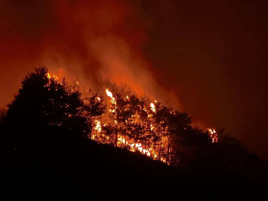 山西森林失火蔓延至辉县新乡消防140余名指战员紧急出动参与扑救