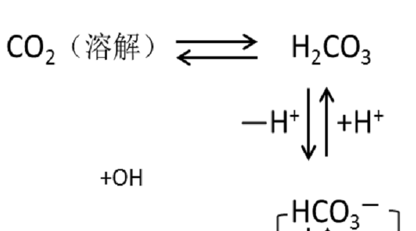 人口过滤_人口普查(3)