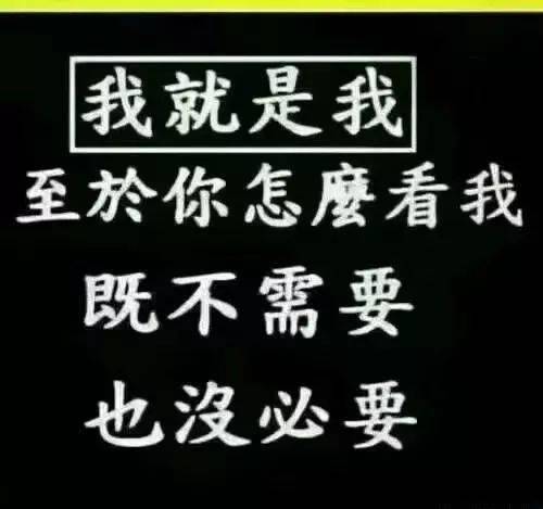 写给,傻傻的自己