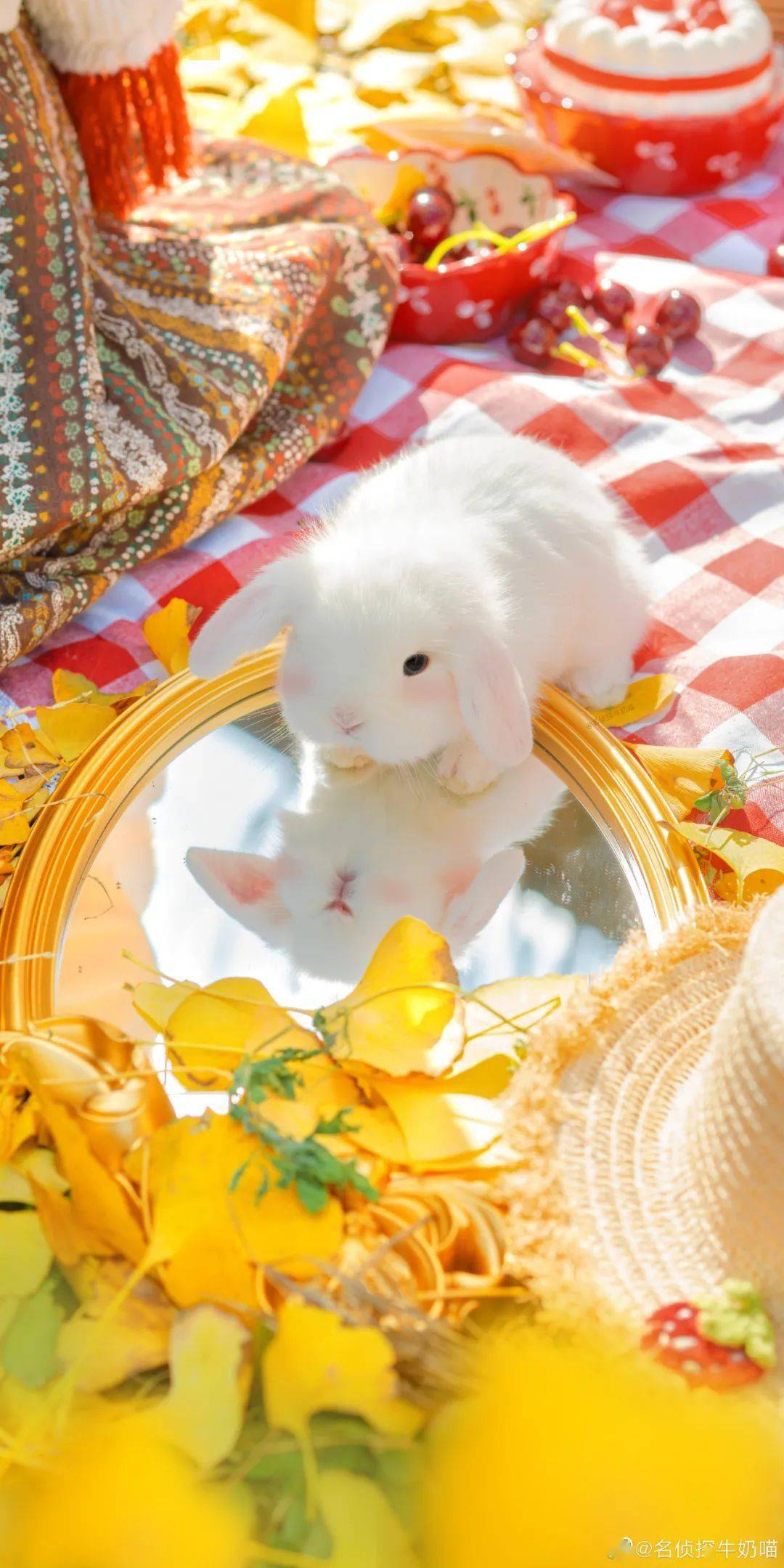 壁纸山水万程皆要好运