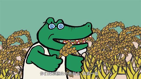 小猫汤米鳄鱼爷爷带小朋友收大米可这水稻黄黄的不像是白米