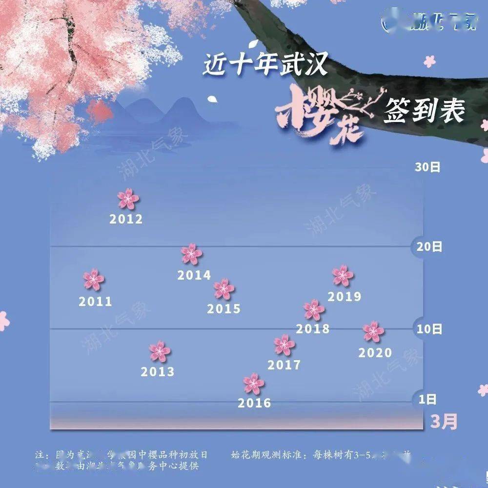 最新樱花预报来了！ 武大樱花将于26日前后开放，花期比往年多出一周
