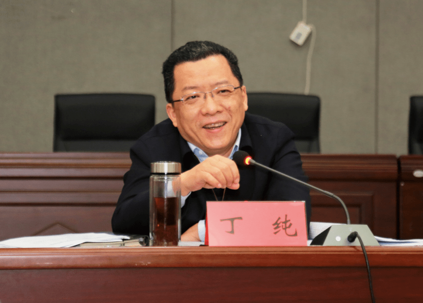 丁纯坚定勇担当重实干奋力走在前当标杆为新阶段现代化幸福铜陵建设