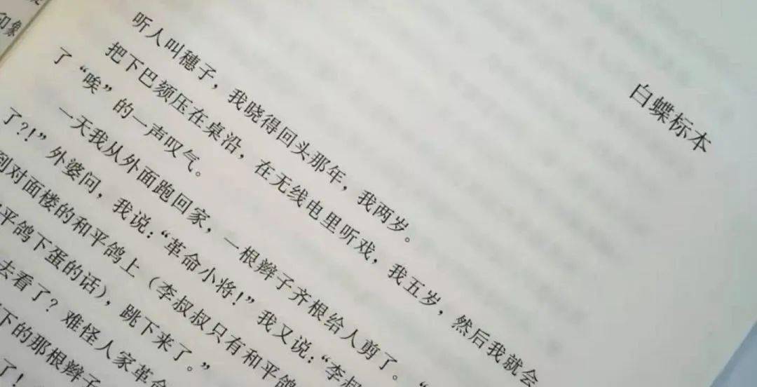 严歌苓角儿朱依锦白蝶标本