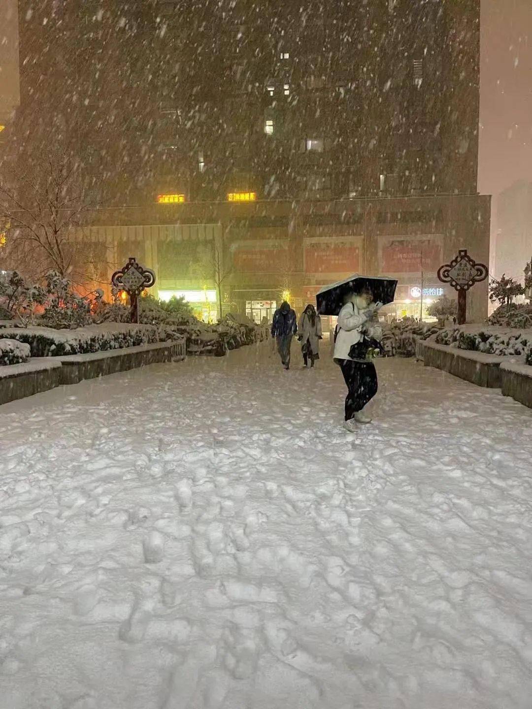 郑州迎来牛年首场暴雪河南多地降大雪目前多条高速禁行