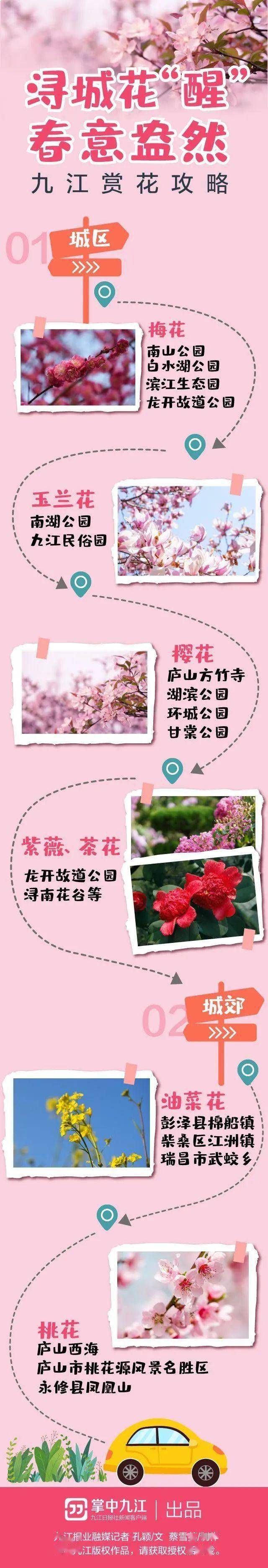 梅花、樱花、玉兰花……九江城区春季赏花攻略在这里→