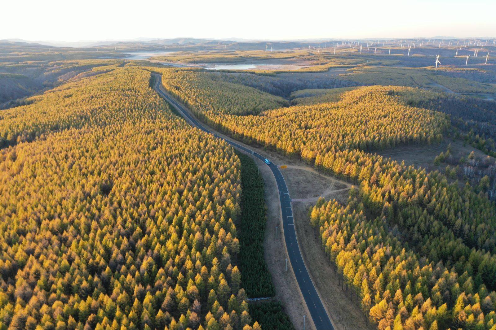 塞罕坝机械林场安长明林场已成带动居民脱贫致富的绿色银行