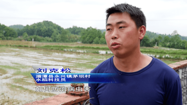 靠自己努力强大的人最耀眼初中毕业的水稻专家刘克松