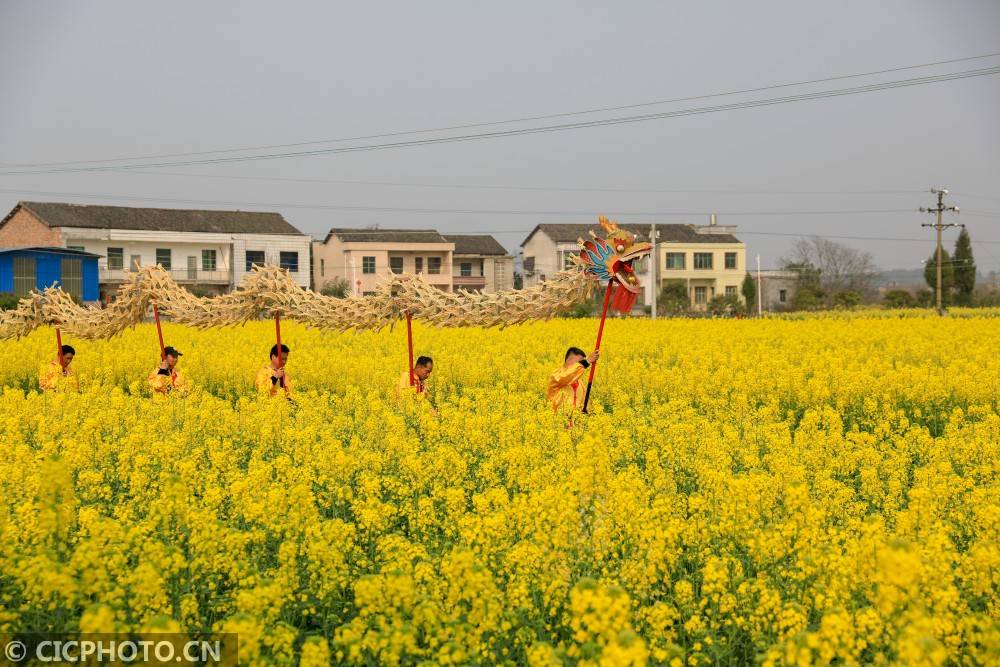 衡阳稻草龙图片