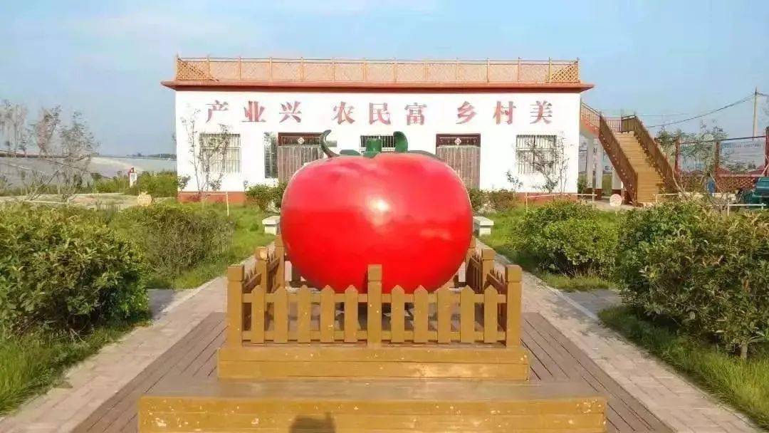 了不起张果屯镇赵战秒获全国脱贫攻坚先进个人荣誉称号