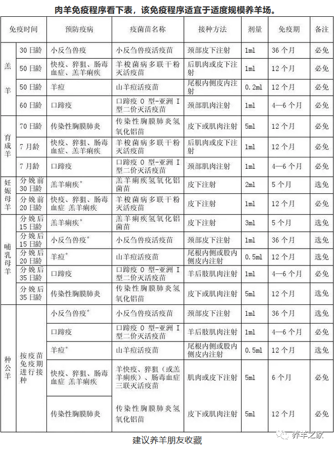 羔羊,育肥羊,母羊,種公羊全套免疫程序