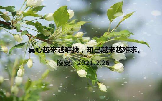 c9cb8a1bb38342d589d9d00209561abd.jpeg
