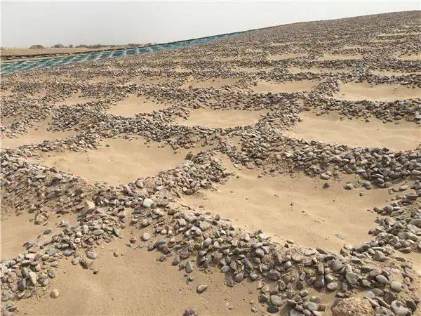 砾石沙障砖沙障树枝沙障草方格沙障沙袋沙障