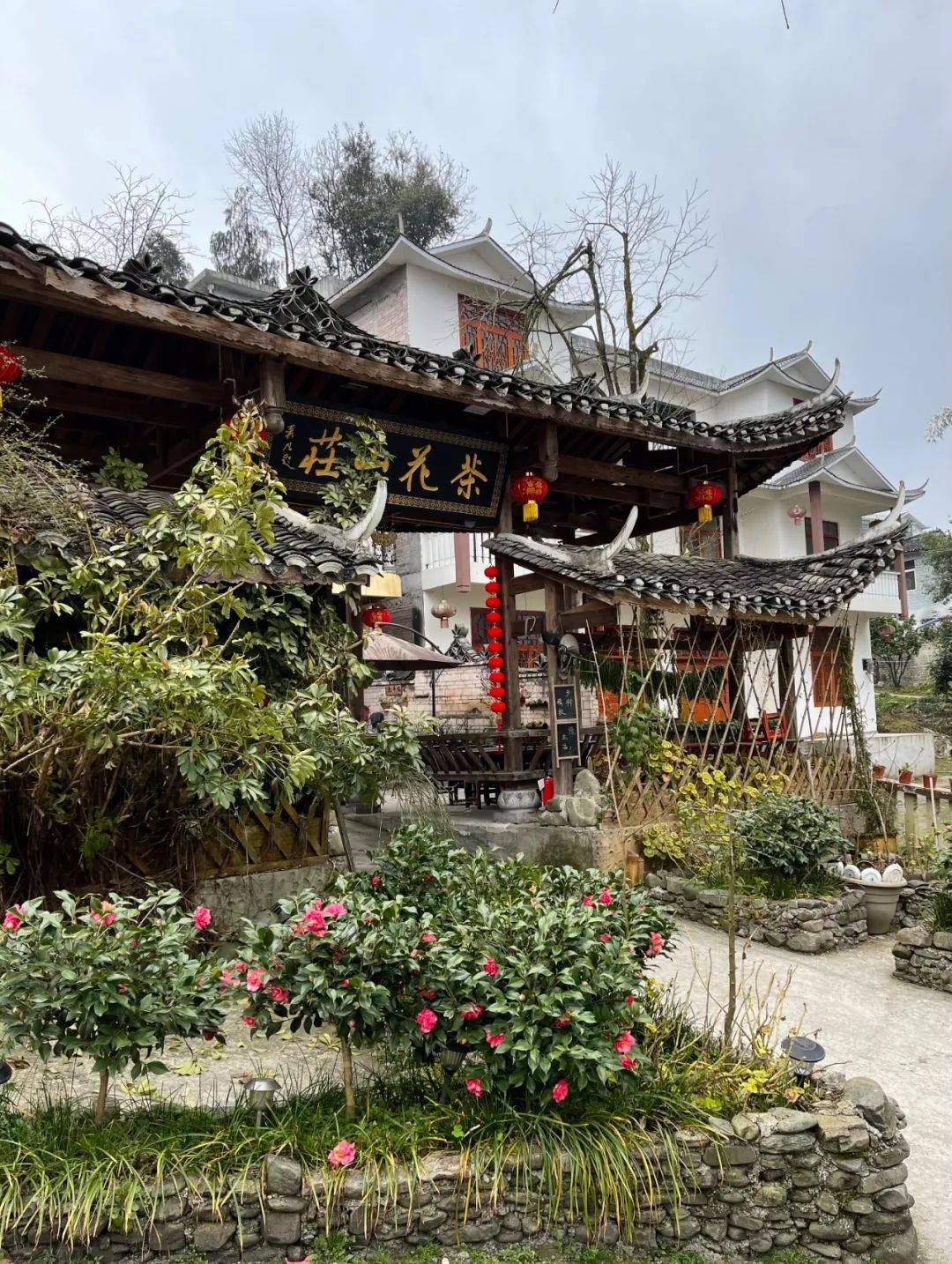 牛年第一场湖北旅行 | 茶山漫步,雪地撒欢【473集】_恩施