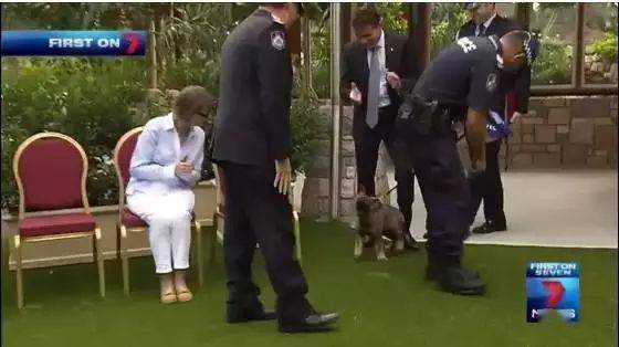 小警犬慘遭開除，竟是因為……好氣哦！！ 萌趣萌寵 第3张