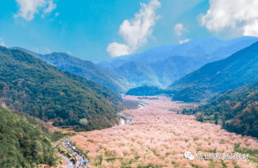 上虞章镇外来人口多少_上虞章镇秀峰寺(3)