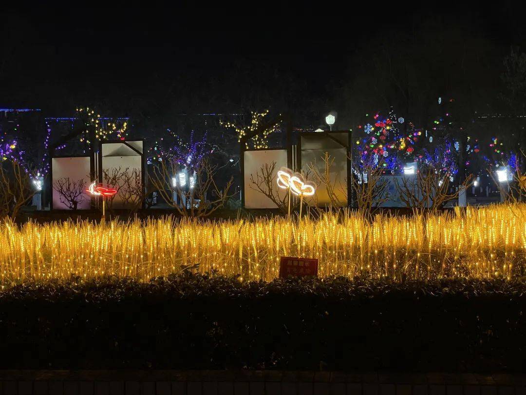 金黄的麦穗灯 李艺潇 摄金牛报春 李艺潇 摄喜庆的红灯笼 李艺潇 摄