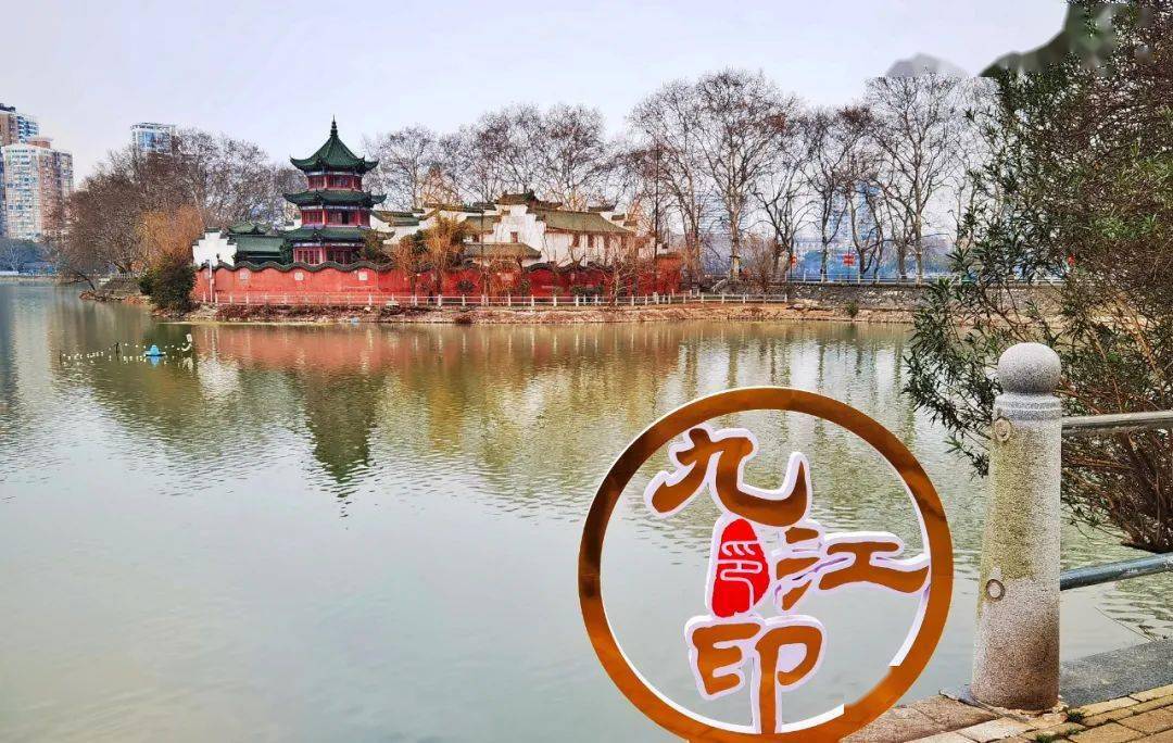 2021九江人口_九江人口分布图