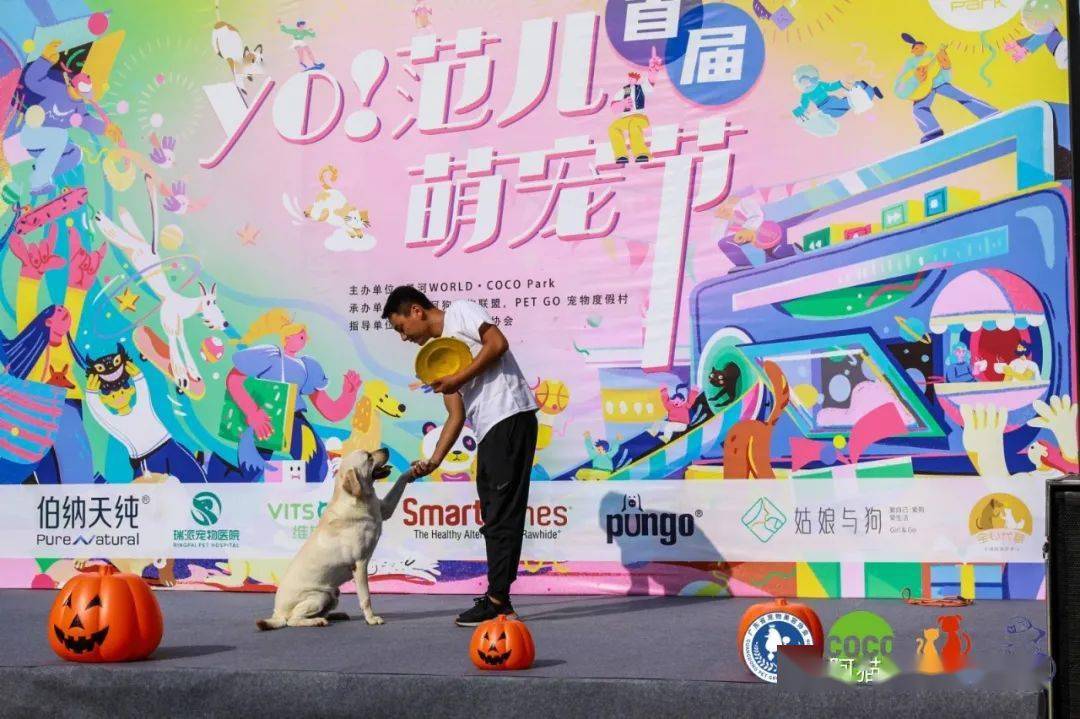 【阿猫阿狗】正在报名: reddog萌宠来袭宠物嘉年华 3月6-7日南山区侨