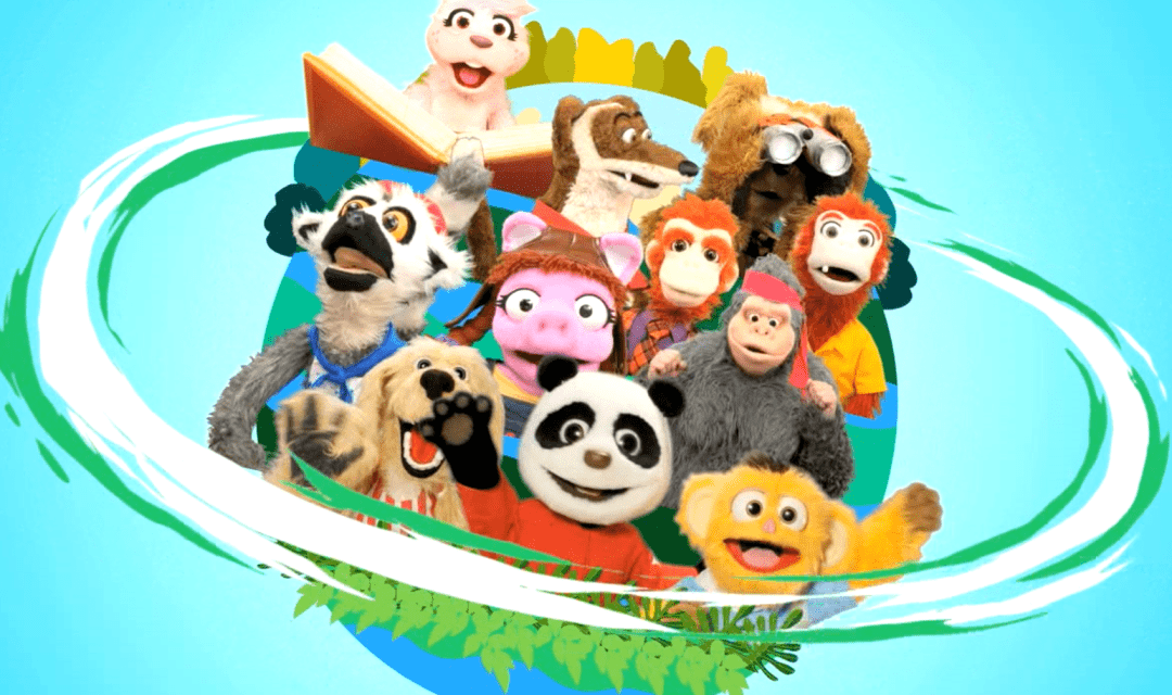 动物好伙伴新春福袋大作战收官啦